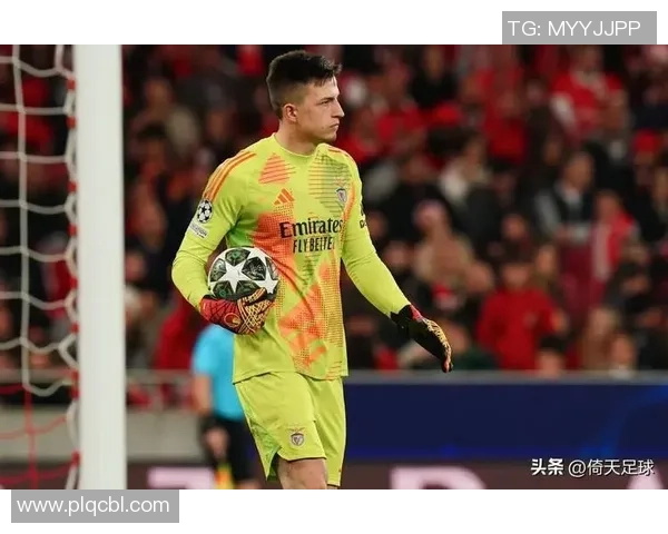 卢多戈雷与维迪奥顿比赛分析及比分预测展望